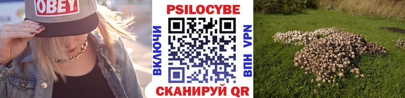 где продают наркотики  Байкальск  Псилоцибиновые грибы Psilocybine cubensis 